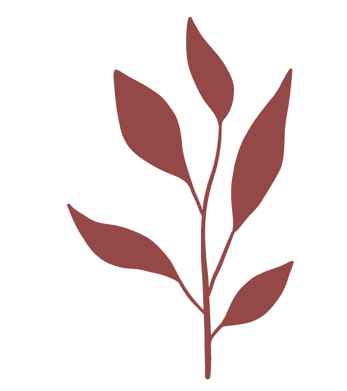 Mon concept beauté motifs